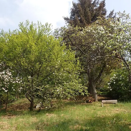 בית נופש Charming Holiday Home In Habay-La-Neuve With Garden